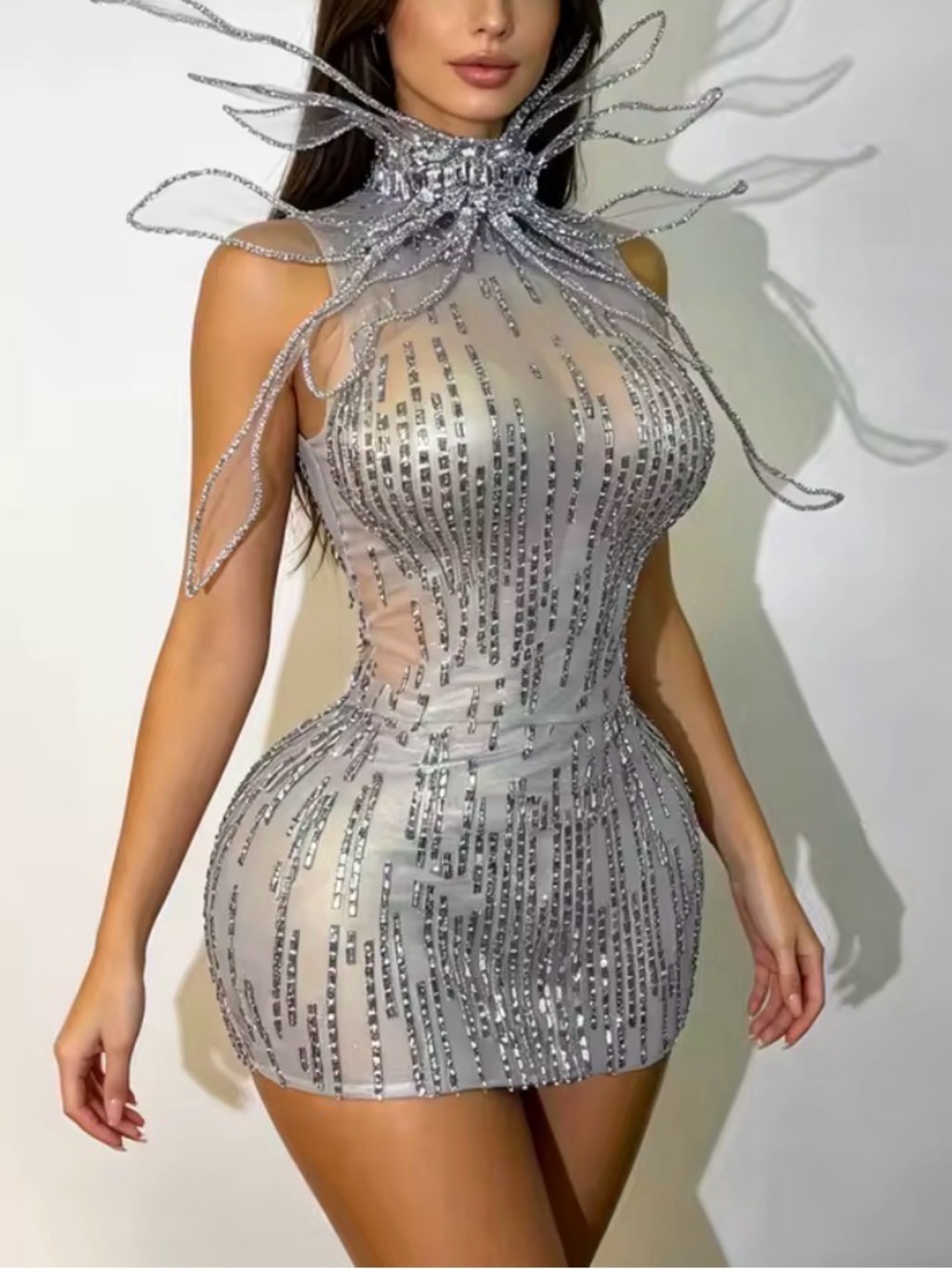 Silver Embellished Sheer Mesh Mini Dress
